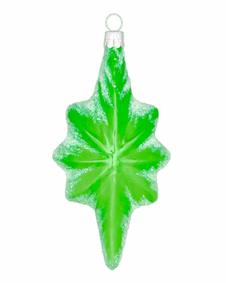 Hvězda