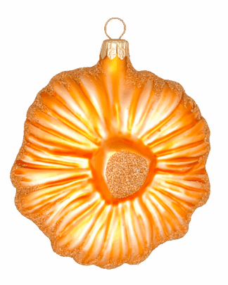 Vánoční květ